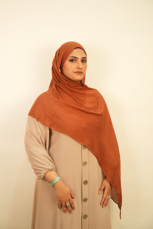 Premium Modal - Terracotta